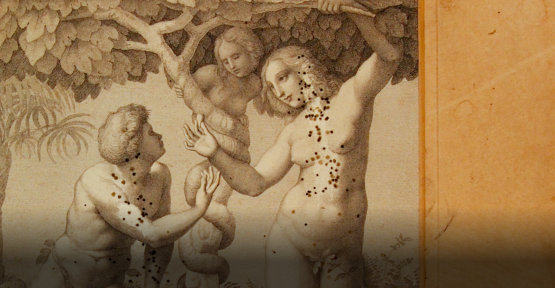 Renowacja konserwacja grafiki akwareli